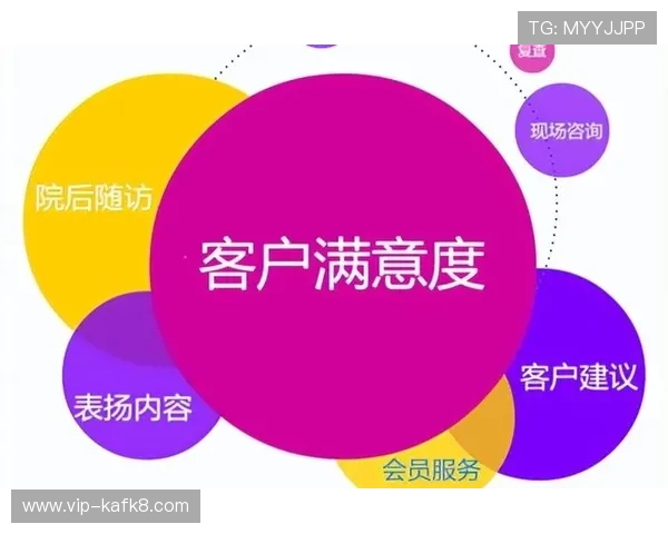 利来国际ag集团客户服务体系完善与客户满意度提升策略