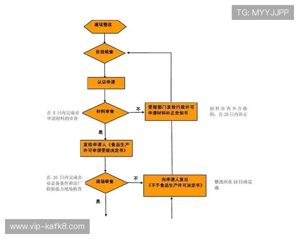 全面解析K8娱乐官方下载流程，轻松掌握安全下载安装技巧